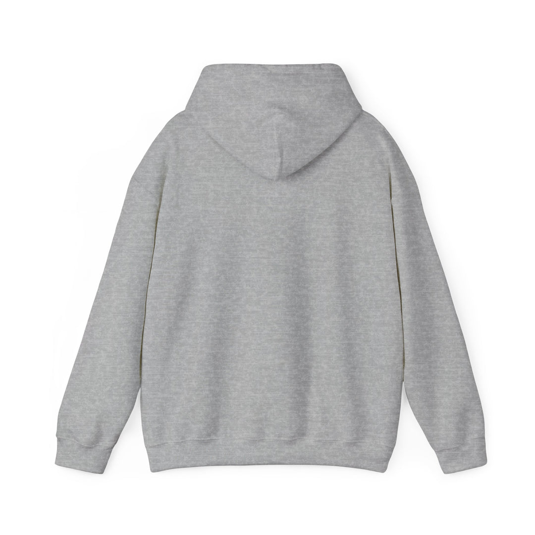 A Book a Day, Unisex Heavy Blend™ Hooded Sweatshirt